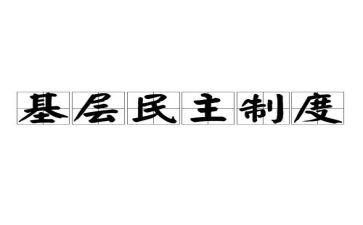 民主政治下的心得体会6篇