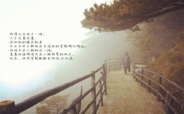 目送目送读后感参考6篇