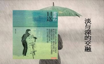 目送目送读后感最新7篇