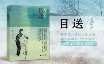 目送的作文600字7篇