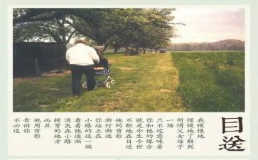 目送目送读后感精选7篇