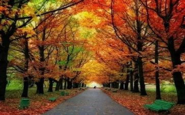 最难忘的人作文600字通用7篇