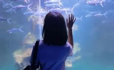 最难忘的人作文600字模板7篇