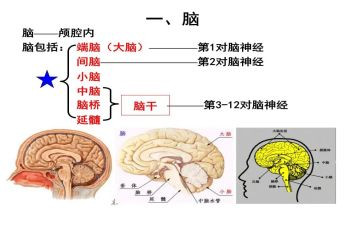 脑外科医生年终总结5篇