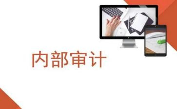 内审科工作总结7篇
