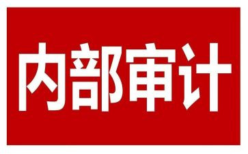 内审工作总结6篇