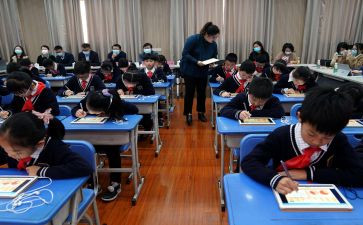 八年级语文下教学计划推荐7篇