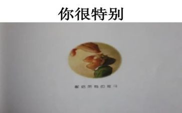 你很特别活动总结5篇