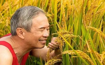 农夫和鱼的故事读后感5篇