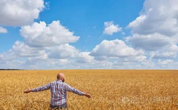 《农夫与蛇》的读后感5篇