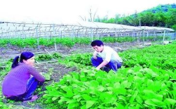 农技员年度工作计划8篇