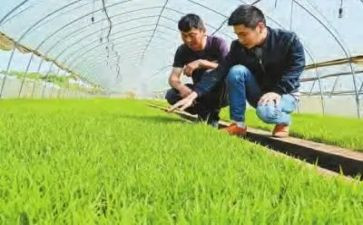 农技员月工作计划7篇