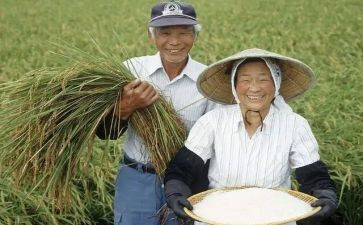 农民农合联的工作总结6篇