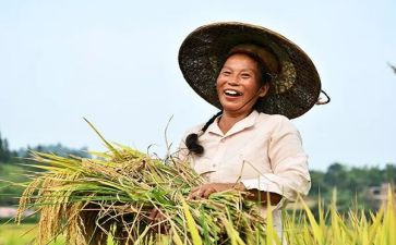 职业农民培训的心得体会6篇
