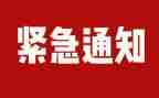 排查和整治工作总结7篇