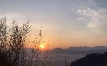 盼的读后感300字模板6篇