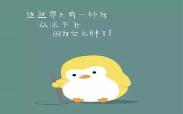 我太胖了作文6篇