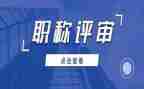 评审的工作总结优质6篇