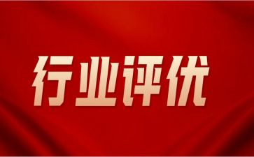 2024评优评先个人总结5篇