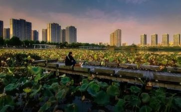 品味类作文模板7篇