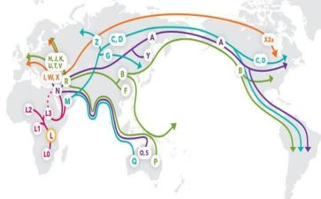 迁移户口的申请书模板最新7篇