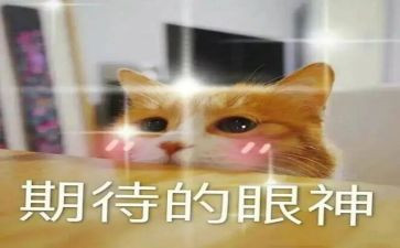 关于期待的作文最新5篇