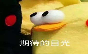 我期待2024作文优质5篇