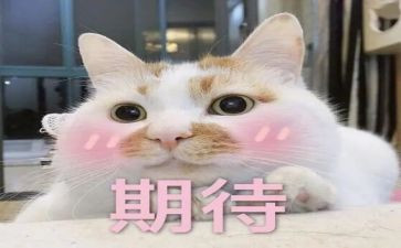 我期待____作文参考8篇