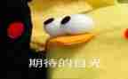 我期待2024作文优质5篇