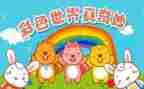 奇妙的圆教案最新8篇