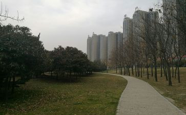 秦都区少先队工作计划精选5篇