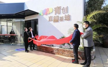青创讲座心得体会模板8篇