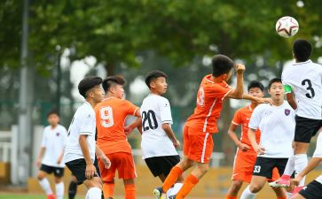 青训合同模板模板6篇