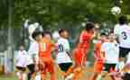 青训合同模板模板6篇
