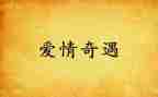 乌丢的奇遇读后感优质7篇