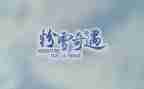 读木偶奇遇读后感精选8篇