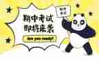 期中总结作文500字8篇