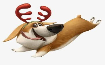 犬只管理调研报告6篇