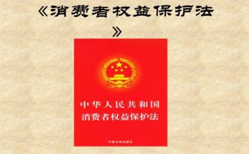 学生权益组工作总结7篇