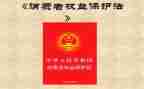 学生权益组工作总结7篇