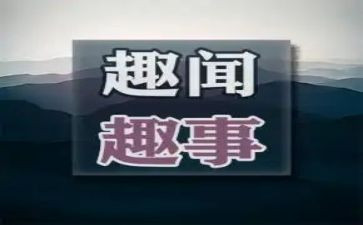 童年趣事的作文推荐8篇