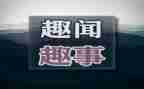 童年趣事的作文推荐8篇