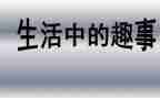 新年趣事的作文参考7篇