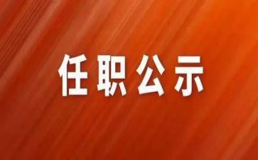 护士任职工作总结7篇