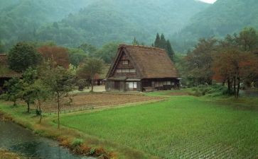 日本观后感6篇