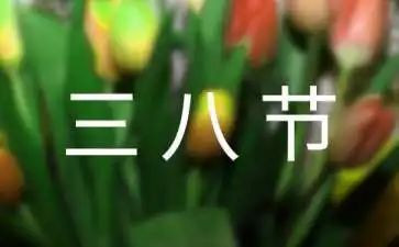 看三八妇女节的心得体会6篇
