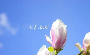 幼儿园三月工作计划5篇