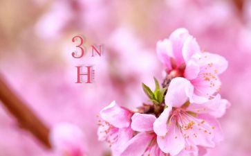 三月保育工作计划5篇
