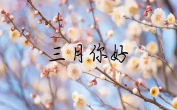 阳春三月的雪作文6篇