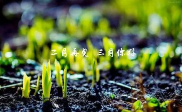 中班三月工作计划7篇